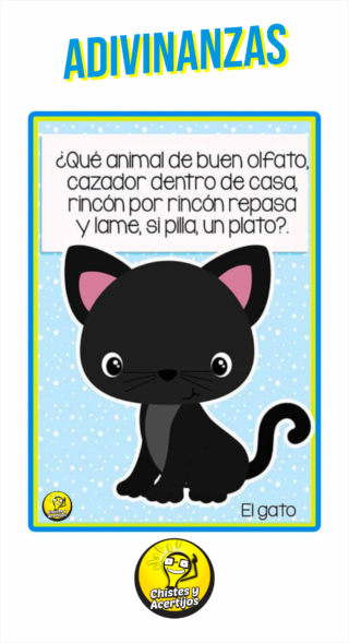 Adivinanza Del Gato